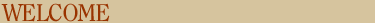 Welcome to Shiloh Custom Homes